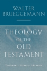 Theology of the Old Testament : Testimony, Dispute, Advocacy - Book