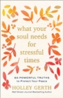 What Your Soul Needs for Stressful Times - 60 Powerful Truths to Protect Your Peace - Book