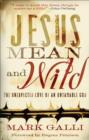 Jesus Mean and Wild - The Unexpected Love of an Untamable God - Book