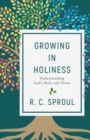 Growing in Holiness : Understanding God's Role and Yours - Book
