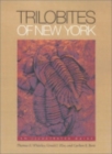Trilobites of New York : An Illustrated Guide - Book