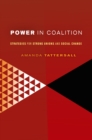 Power in Coalition : Strategies for Strong Unions and Social Change - eBook