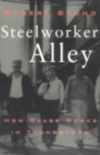 Steelworker Alley : How Class Works in Youngstown - Book