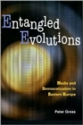 Entangled Evolutions : Media and Democratization in Eastern Europe - Book