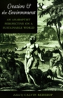 Creation and the Environment : An Anabaptist Perspective on a Sustainable World - eBook