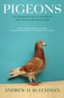 Pigeons : The Fascinating Saga of the World's Most Revered and Reviled Bird - Book