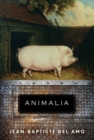 Animalia - eBook