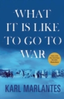 What It Is Like to Go to War - eBook