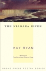 The Niagara River - eBook