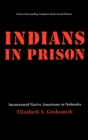 Indians in Prison : Incarcerated Native Americans in Nebraska - Book