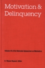 Nebraska Symposium on Motivation, 1996, Volume 44 : Motivation and Delinquency - Book