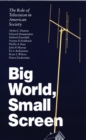 Big World, Small Screen : The Role of Television in American Society - Book