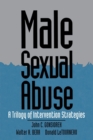 Male Sexual Abuse : A Trilogy of Intervention Strategies - Book