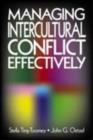 Managing Intercultural Conflict Effectively - Book
