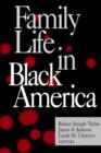 Family Life in Black America - Book