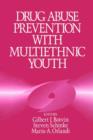 Drug Abuse Prevention with Multiethnic Youth - Book