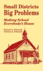 Small Districts, Big Problems : Making School Everybody's House - Book