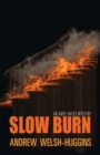 Slow Burn : An Andy Hayes Mystery - Book