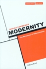 Niklas Luhmann's Modernity : The Paradoxes of Differentiation - Book