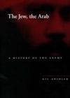 The Jew, the Arab : A History of the Enemy - Book