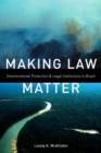 Making Law Matter : Environmental Protection and Legal Institutions in Brazil - Book