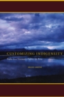 Customizing Indigeneity : Paths to a Visionary Politics in Peru - Book