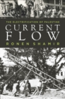 Current Flow : The Electrification of Palestine - Book