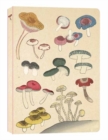 Healing Mushrooms Lined Paperback Journal : Blank Notebook with Pocket - Book