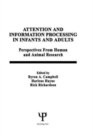 Attention and information Processing in infants and Adults : Perspectives From Human and Animal Research - Book