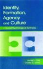 Identity, Formation, Agency, and Culture : A Social Psychological Synthesis - Book