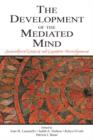 The Development of the Mediated Mind : Sociocultural Context and Cognitive Development - Book