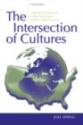 The Intersection of Cultures : Multicultural Education in the United States and the Global Economy - Book