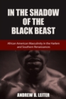 In the Shadow of the Black Beast : African American Masculinity in the Harlem and Southern Renaissances - Book