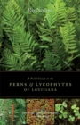 A Field Guide to the Ferns and Lycophytes of Louisiana - eBook