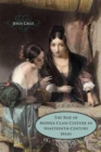 The Rise of Middle-Class Culture in Nineteenth-Century Spain - Book
