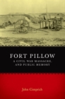 Fort Pillow, a Civil War Massacre, and Public Memory - eBook