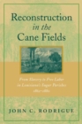 Reconstruction in the Cane Fields : From Slavery to Free Labor in Louisiana's Sugar Parishes, 1862--1880 - eBook