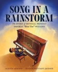 SONG IN A RAINSTORM - Book