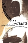 A Separate Canaan : The Making of an Afro-Moravian World in North Carolina, 1763-1840 - eBook