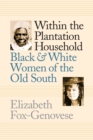 Within the Plantation Household : Black and White Women of the Old South - Book