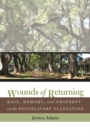 Wounds of Returning : Race, Memory, and Property on the Postslavery Plantation - Book