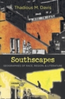 Southscapes : Geographies of Race, Region, and Literature - eBook