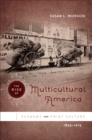The Rise of Multicultural America : Economy and Print Culture, 1865-1915 - eBook
