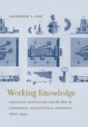 Working Knowledge : Employee Innovation and the Rise of Corporate Intellectual Property, 1800-1930 - eBook