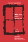 Meteor In The Madhouse - Book