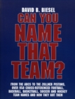 Can You Name that Team? : A Guide to Professional Baseball, Football, Soccer, Hockey, and Basketball Teams and Leagues - Book