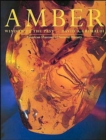 Amber : Window to the Past - Book