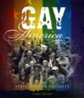 Gay America : Struggle for Equality - Book