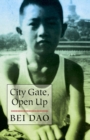 City Gate, Open Up - eBook