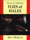 Trout and Salmon Flies of Wale - Book